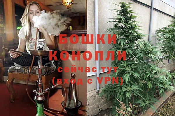 трава Алзамай